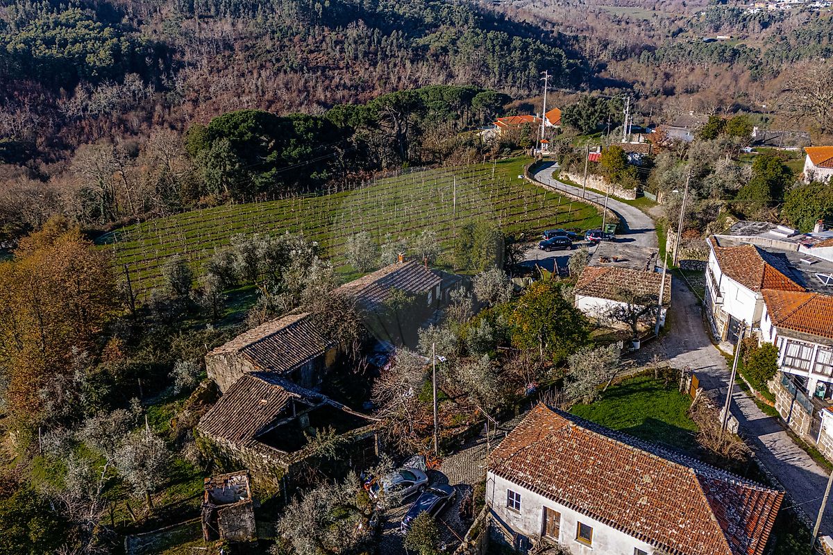 Moradia T3 à venda em São Miguel do Mato, Vouzela — foto 19