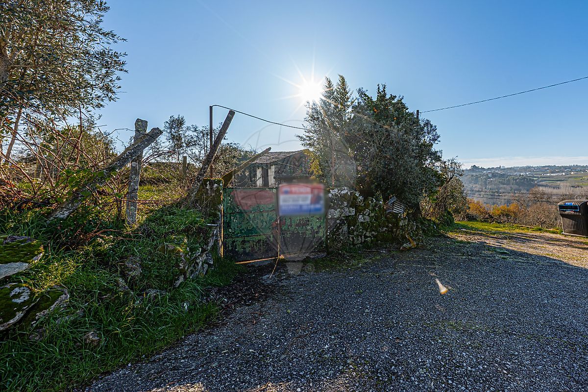 Moradia T3 à venda em São Miguel do Mato, Vouzela — foto 8