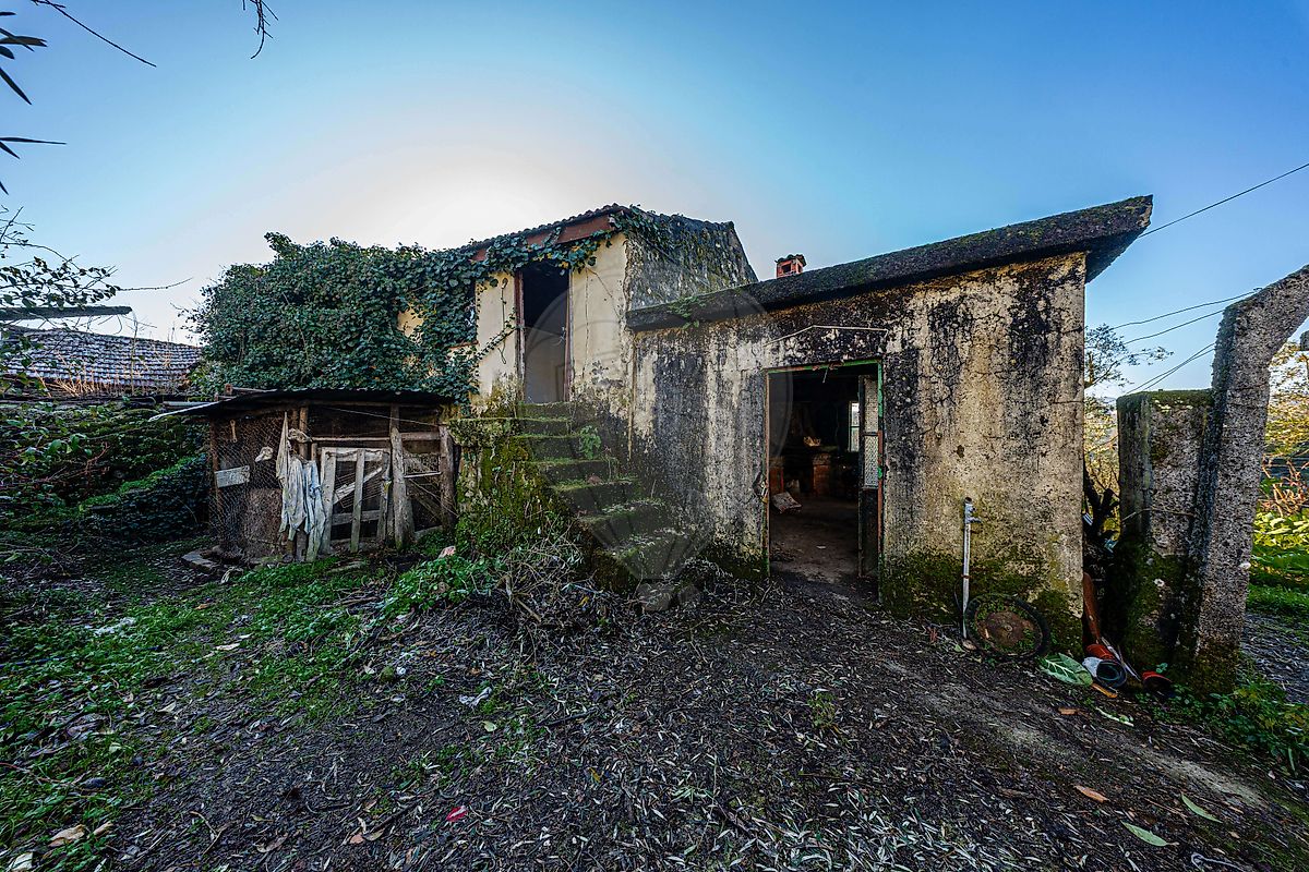 Moradia T3 à venda em São Miguel do Mato, Vouzela — foto 7