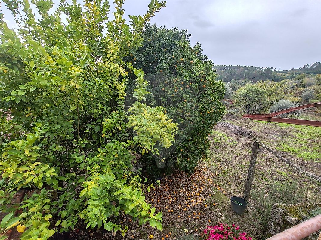 Moradia T2 à venda em São Pedro de France, Viseu — foto 13
