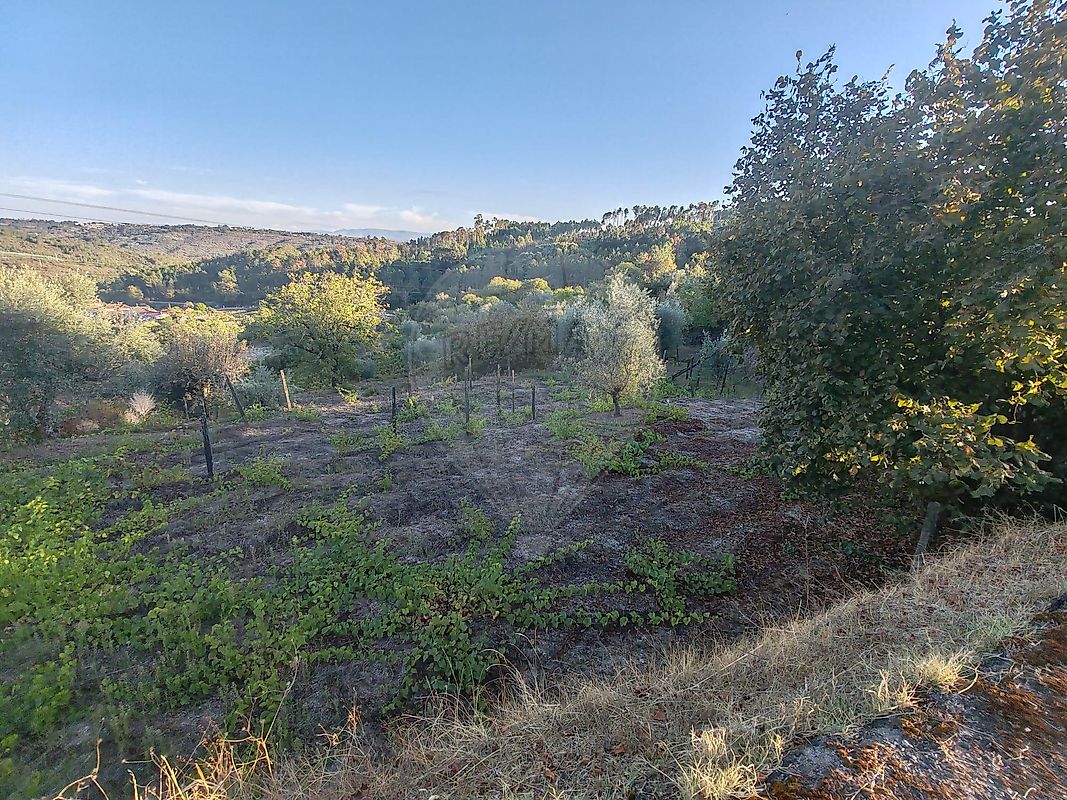 Moradia T2 à venda em São Pedro de France, Viseu — foto 39