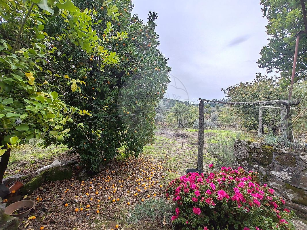 Moradia T2 à venda em São Pedro de France, Viseu — foto 28