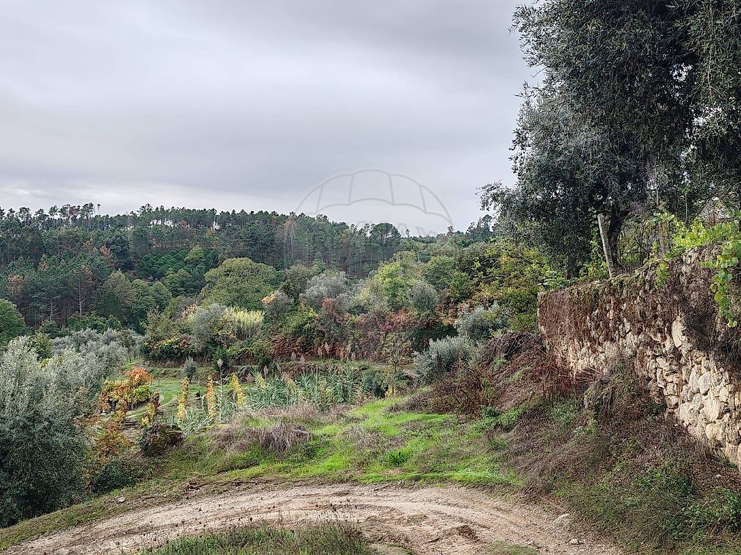 Moradia T2 à venda em São Pedro de France, Viseu — foto 30