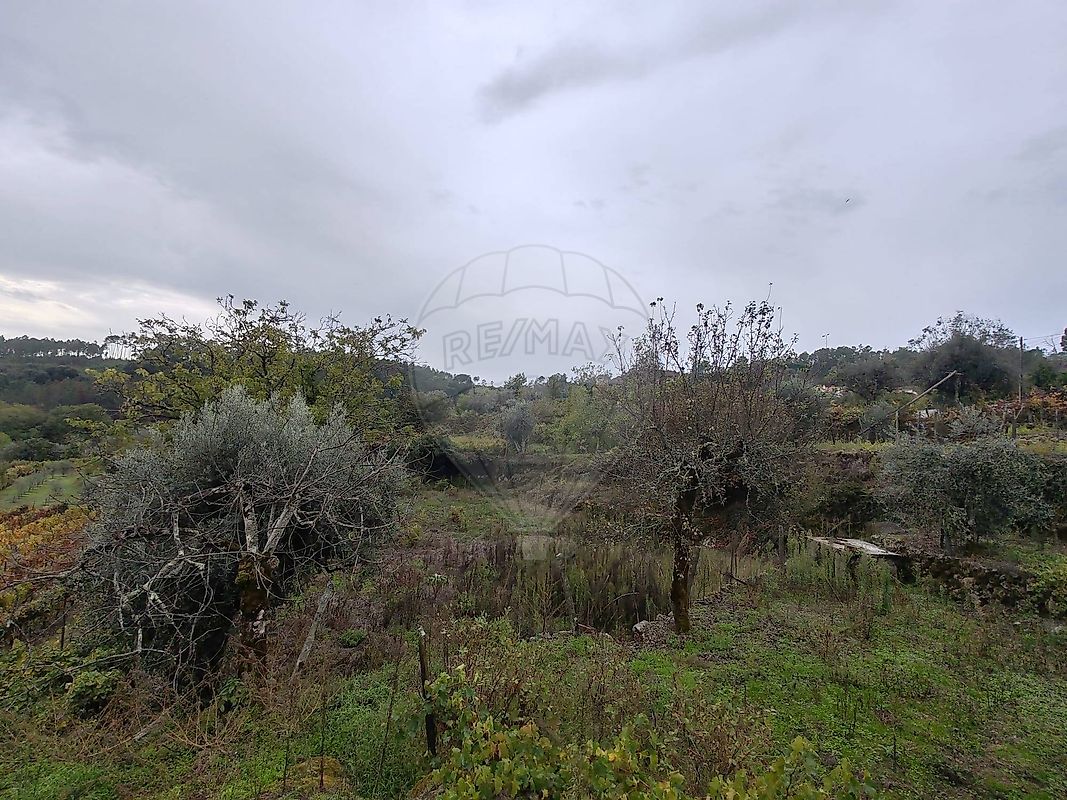 Moradia T2 à venda em São Pedro de France, Viseu — foto 19