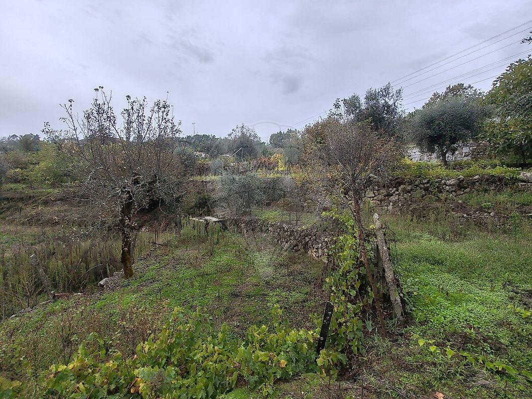 Moradia T2 à venda em São Pedro de France, Viseu — foto 20