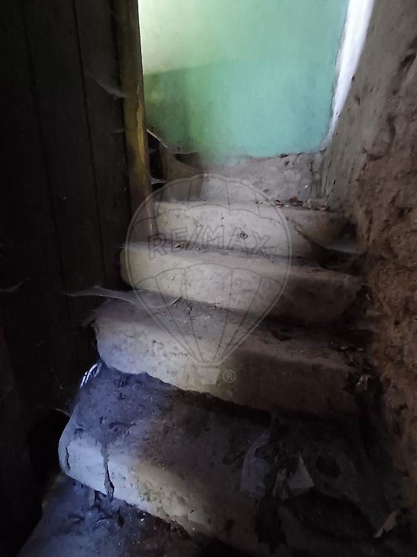 Moradia T4 à venda em Peva e Segões, Moimenta da Beira — foto 7