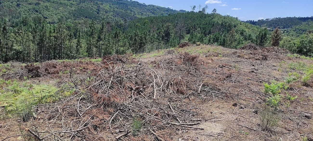 Terreno à venda em Viseu