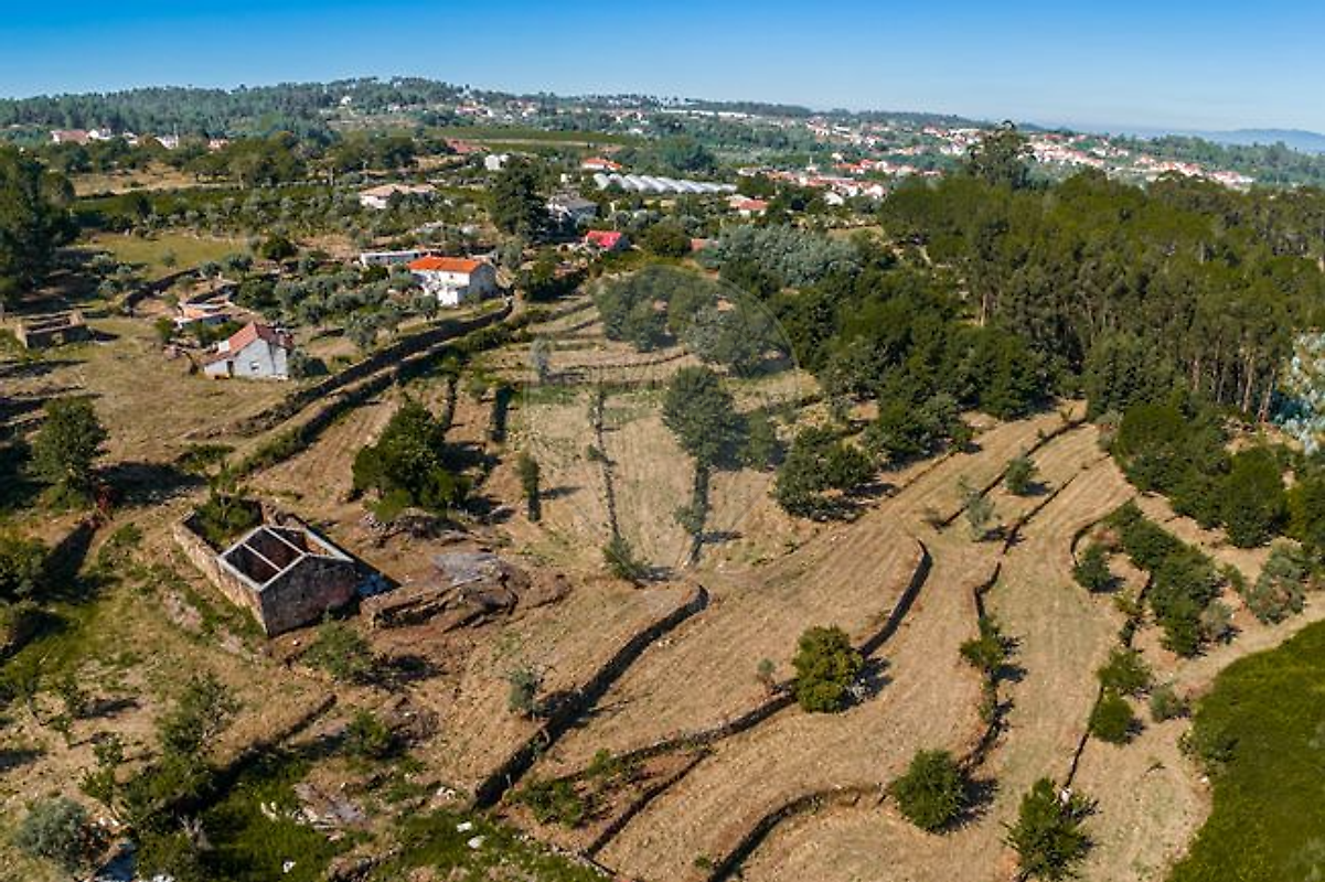 Quinta - Fornos de Maceira Dão, Mangualde, Viseu