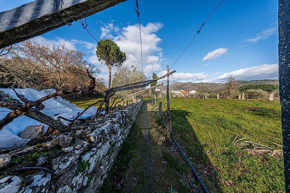 Moradia T6+ à venda em Paradinha e Nagosa, Moimenta da Beira — foto 30