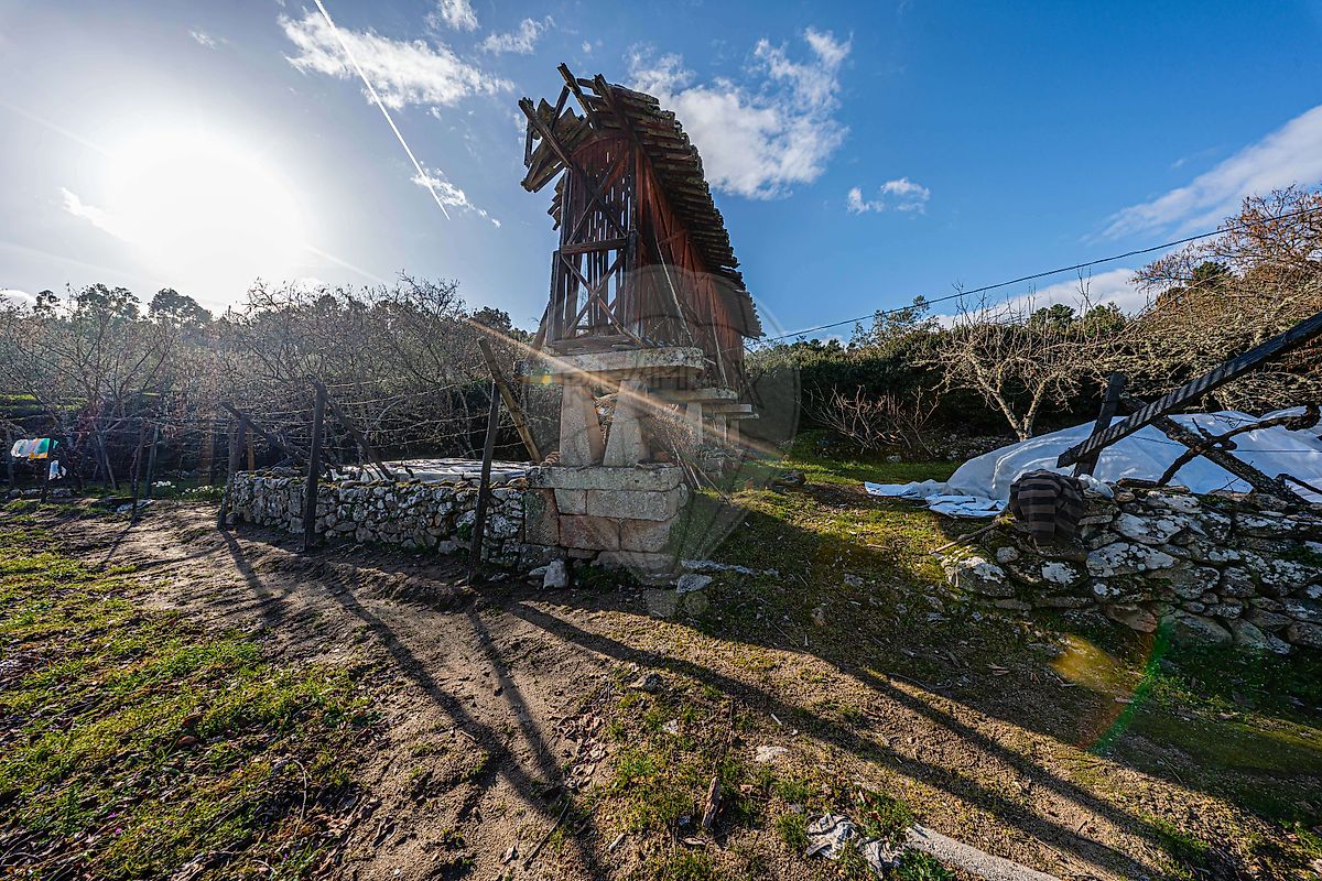 Moradia T6+ à venda em Paradinha e Nagosa, Moimenta da Beira — foto 27