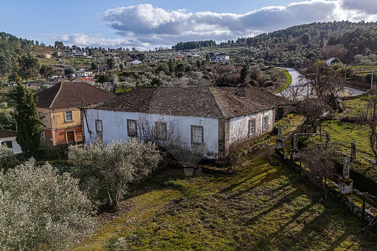 Moradia T6+ à venda em Paradinha e Nagosa, Moimenta da Beira — foto 19