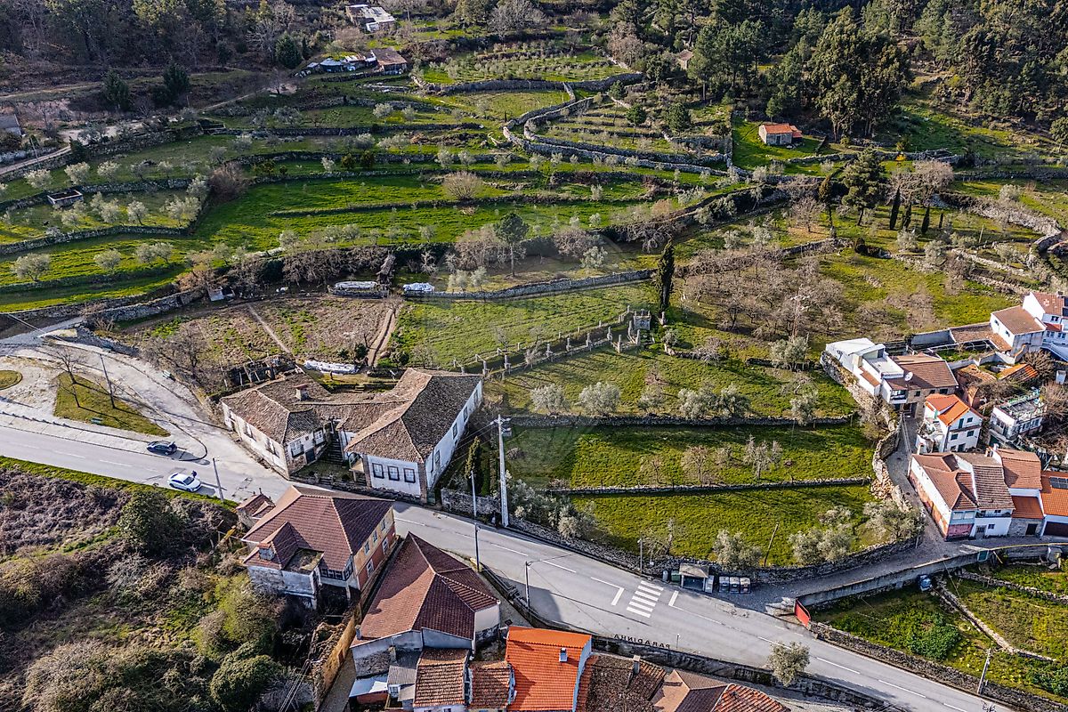 Moradia T6+ à venda em Paradinha e Nagosa, Moimenta da Beira — foto 7
