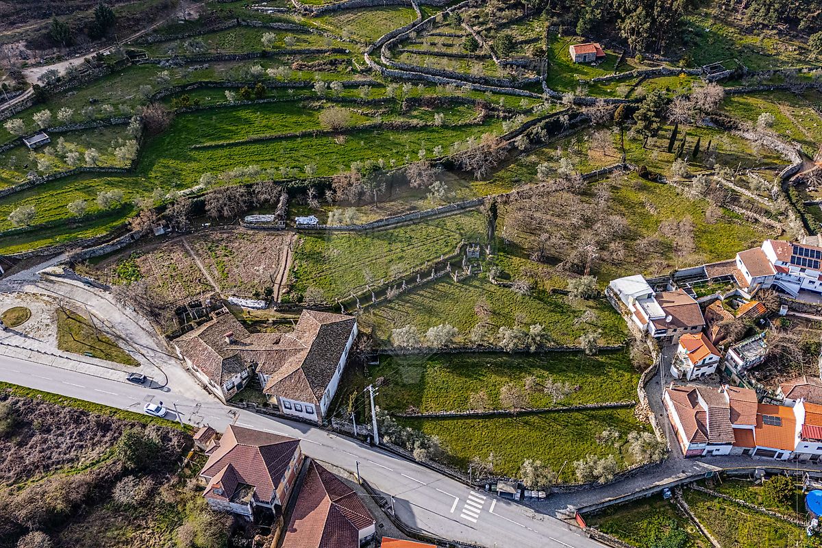 Moradia T6+ à venda em Paradinha e Nagosa, Moimenta da Beira — foto 8