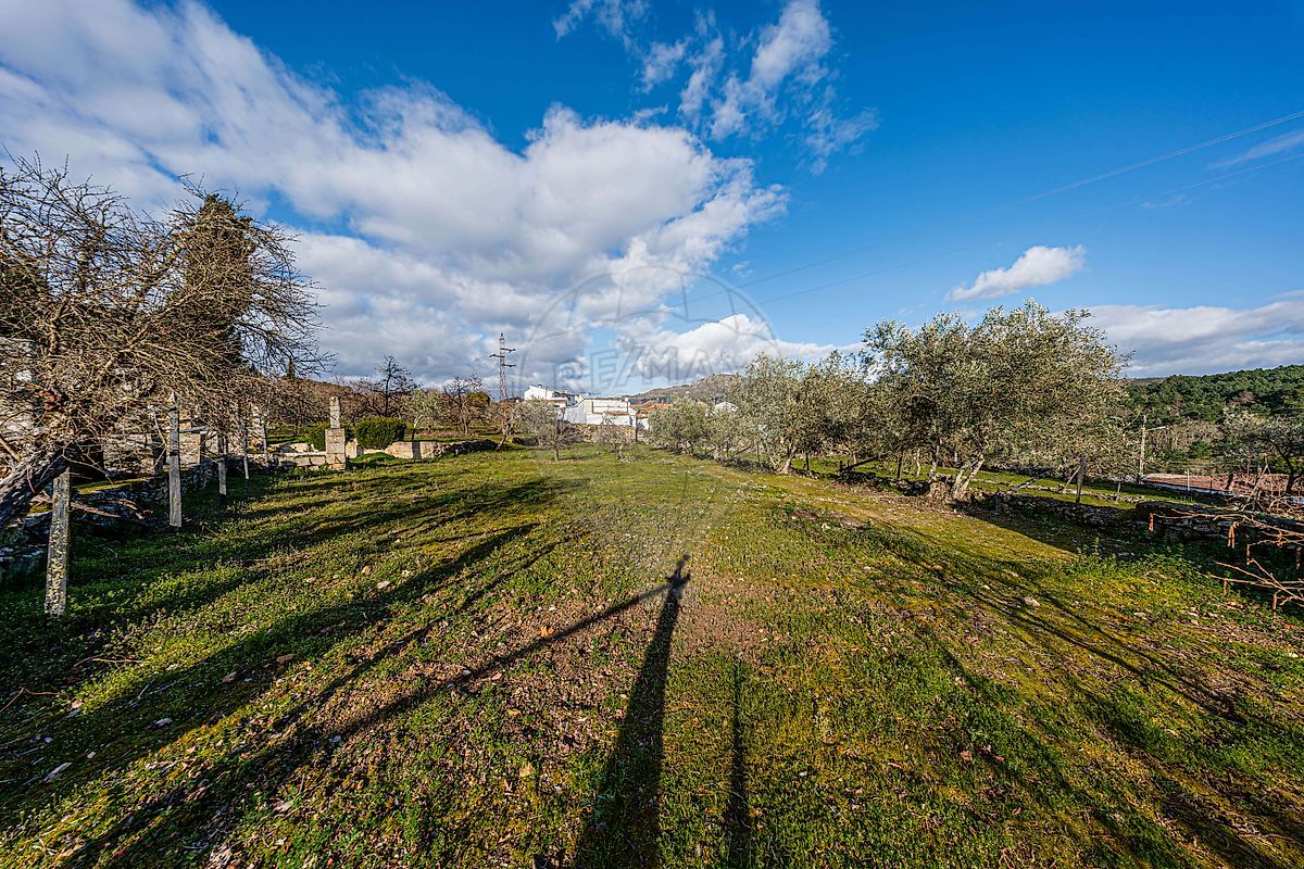 Moradia T6+ à venda em Paradinha e Nagosa, Moimenta da Beira — foto 36