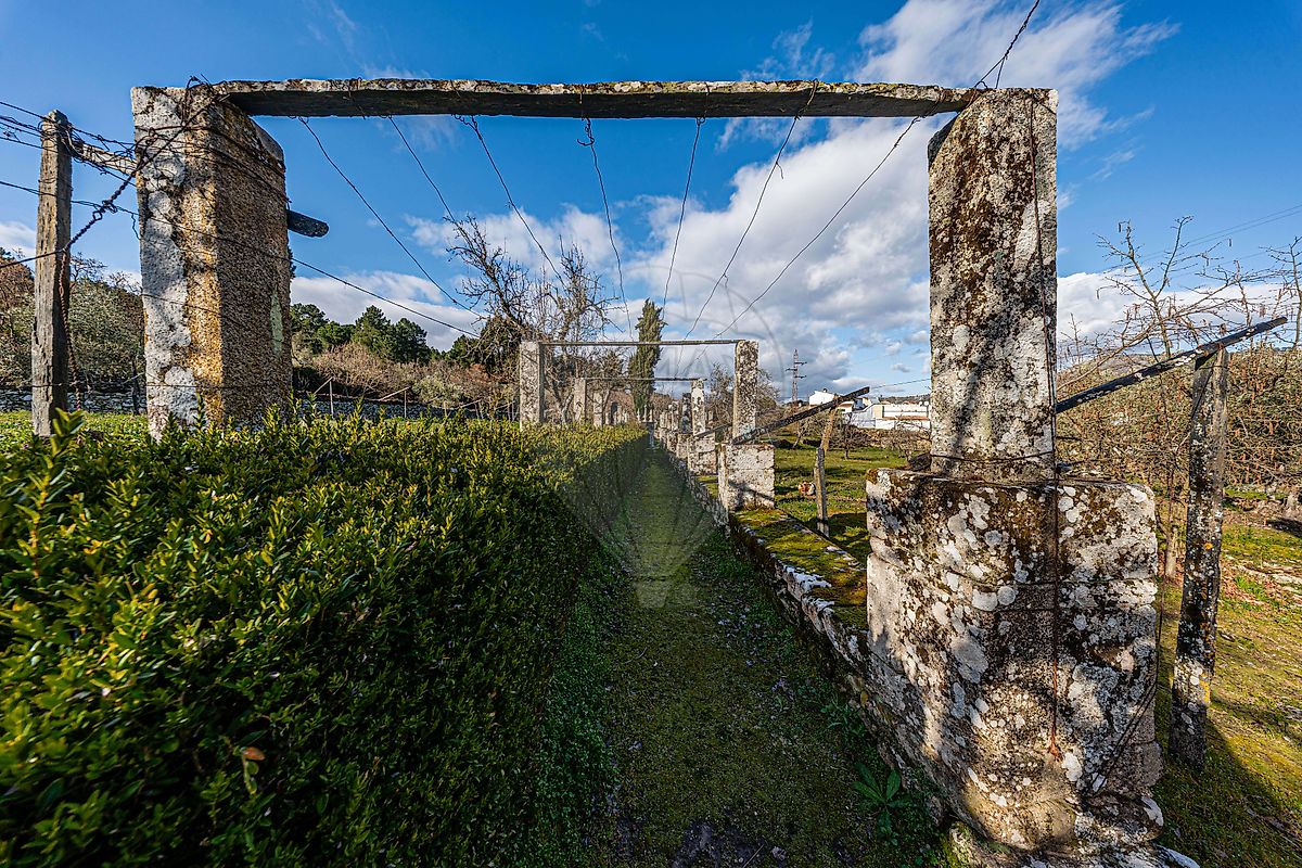 Moradia T6+ à venda em Paradinha e Nagosa, Moimenta da Beira — foto 31