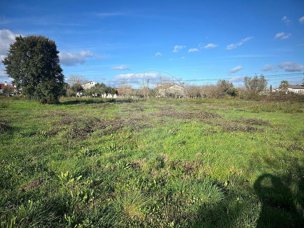 Terreno - Canas de Senhorim, Nelas, Viseu
