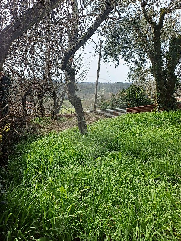 Moradia T3 à venda em Barreiro de Besteiros e Tourigo, Tondela — foto 16