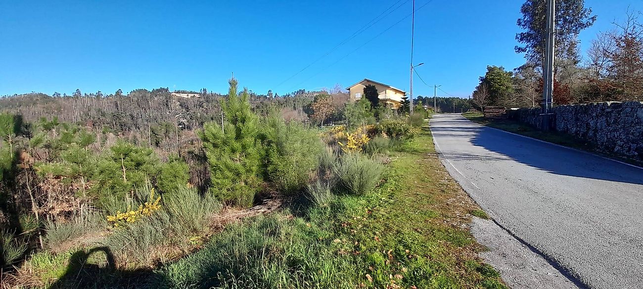 Terreno - Mamouros, Alva e Ribolhos, Castro Daire, Viseu