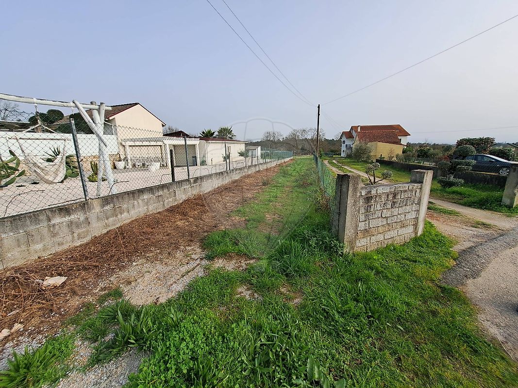 Terreno - São Joaninho, Santa Comba Dão, Viseu