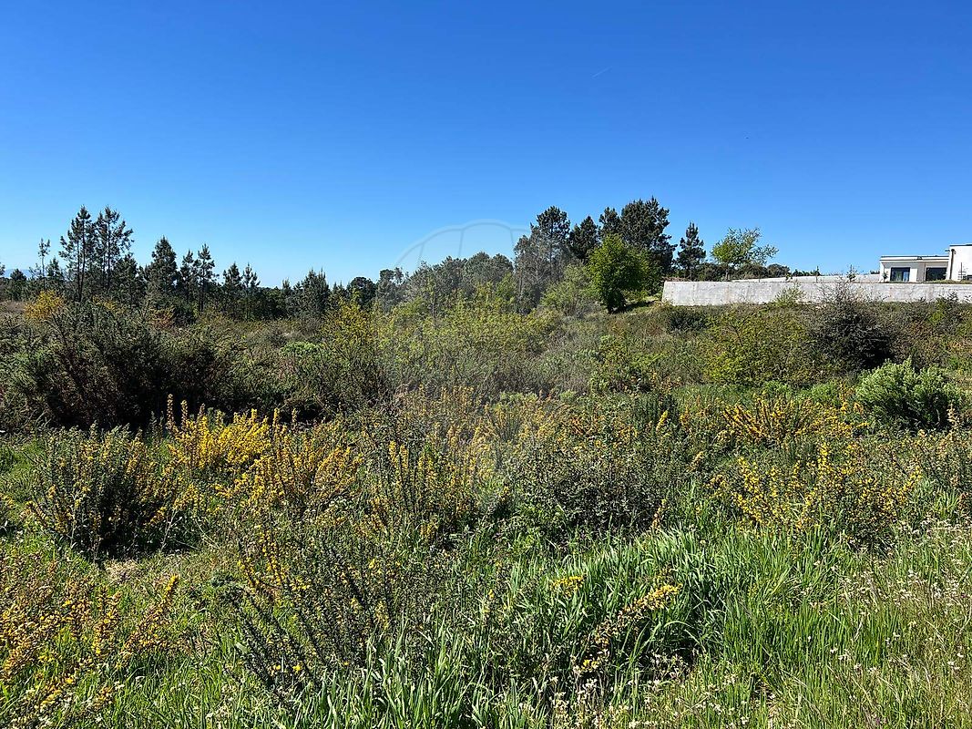 Terreno - Carvalhal Redondo e Aguieira, Nelas, Viseu