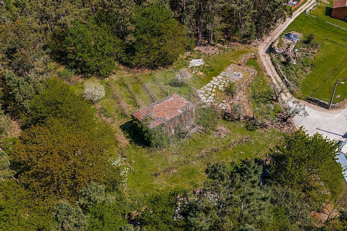 Terreno - Barreiro de Besteiros e Tourigo, Tondela, Viseu