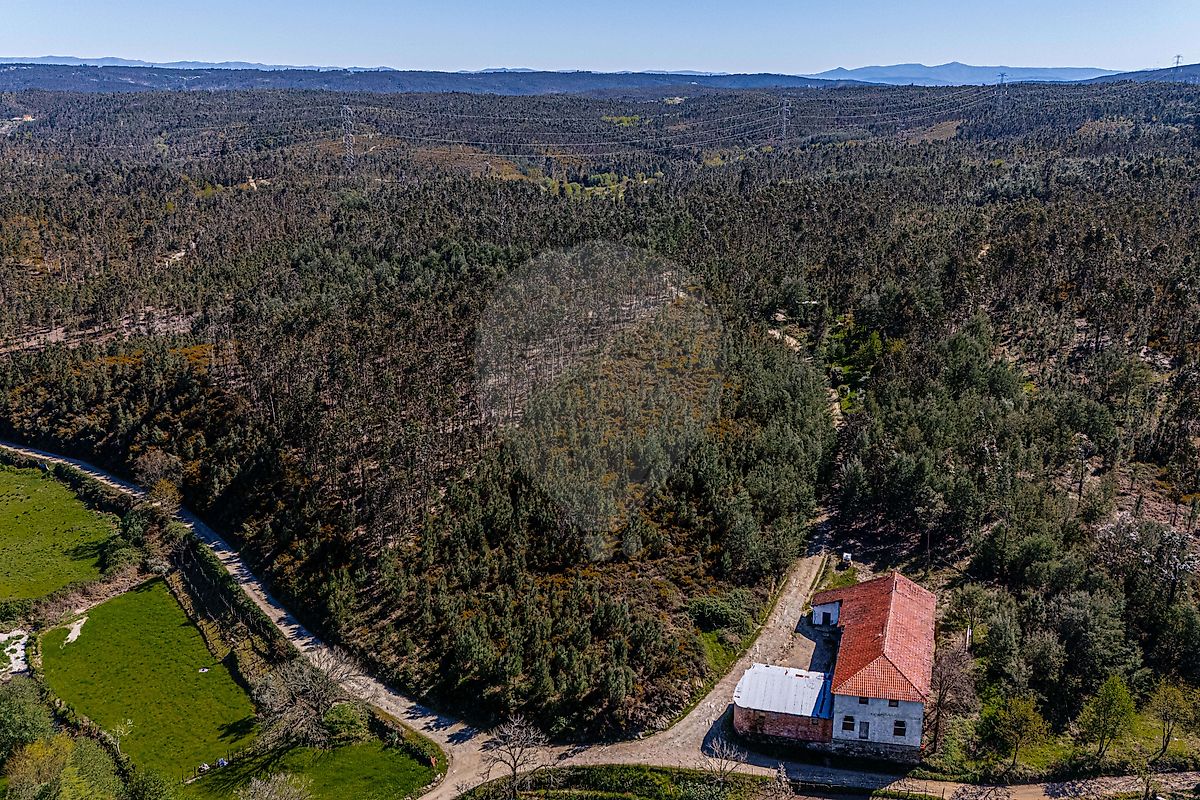 Terreno - Barreiro de Besteiros e Tourigo, Tondela, Viseu