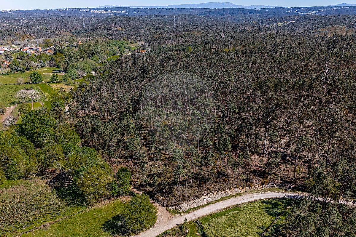Terreno - Barreiro de Besteiros e Tourigo, Tondela, Viseu