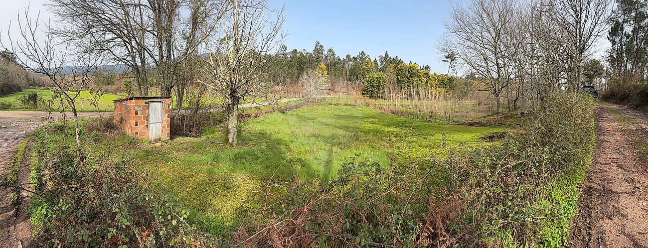 Terreno para arrendar em Tondela