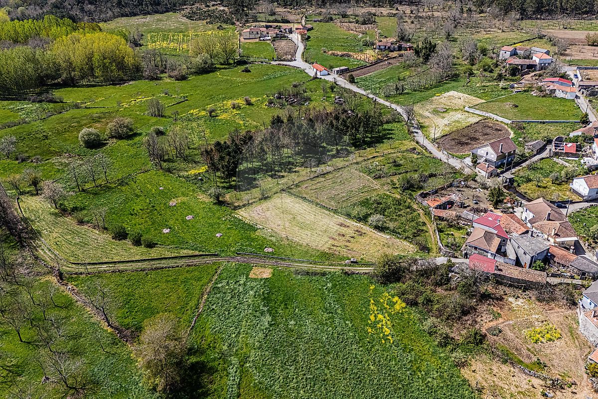Moradia T3 à venda em Caria, Moimenta da Beira — foto 34
