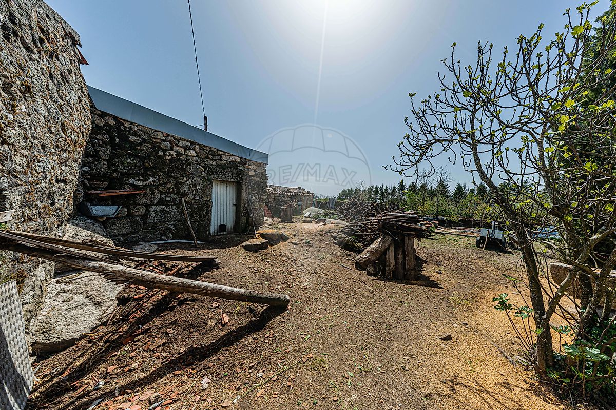 Moradia T3 à venda em Caria, Moimenta da Beira — foto 11