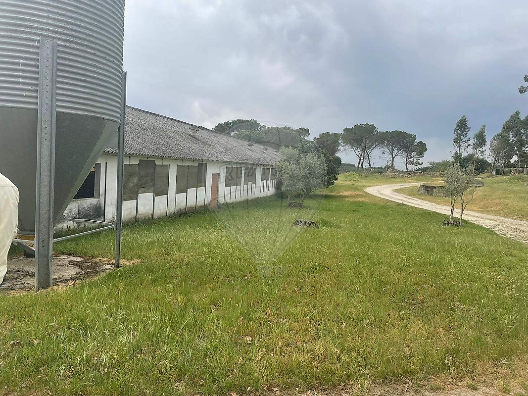 Armazém - Paranhos, Seia, Guarda