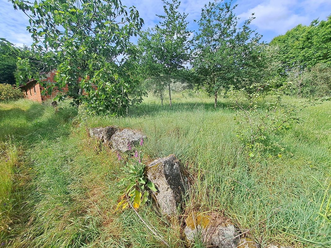 Terreno - Vilar de Besteiros e Mosteiro de Fráguas, Tondela, Viseu