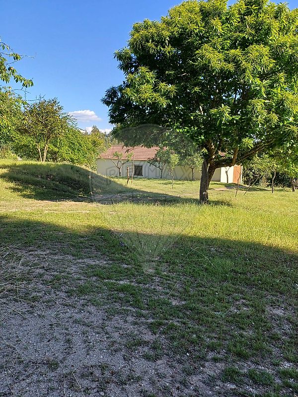 Quinta - São Miguel do Outeiro e Sabugosa, Tondela, Viseu
