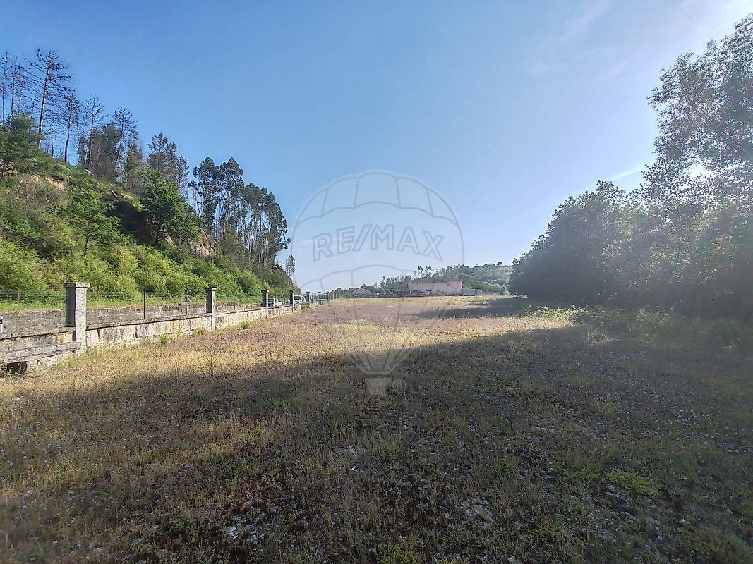 Terreno para arrendar em Castro Daire