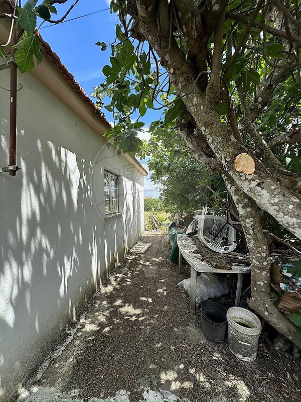 Moradia T2 à venda em Caria, Moimenta da Beira — foto 38