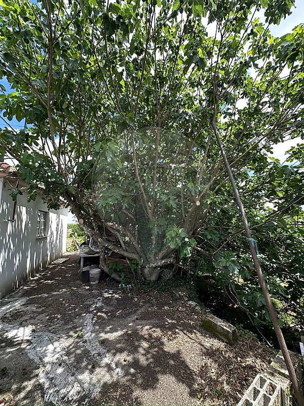 Moradia T2 à venda em Caria, Moimenta da Beira — foto 35
