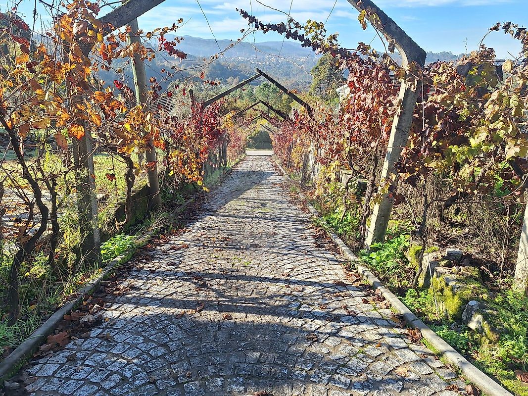 Moradia T4 à venda em São Miguel do Mato, Vouzela — foto 14