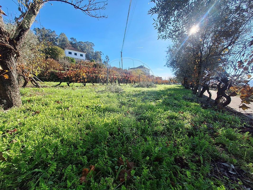 Moradia T4 à venda em São Miguel do Mato, Vouzela — foto 10