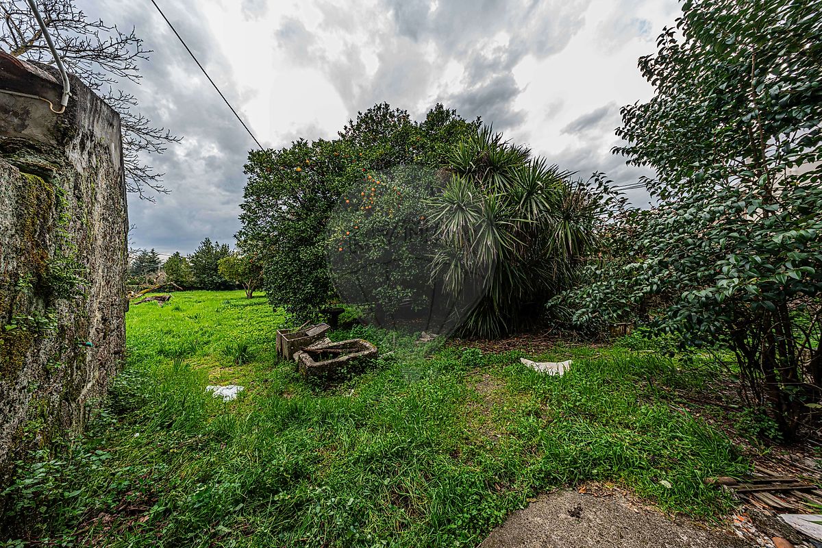 Moradia T3 à venda em Canas de Senhorim, Nelas — foto 8