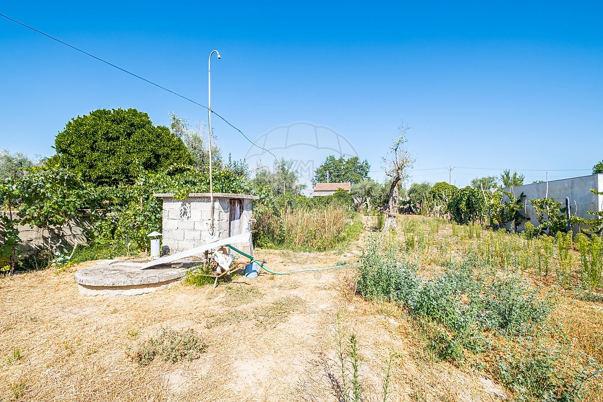 Moradia T4 à venda em Canas de Senhorim, Nelas — foto 7