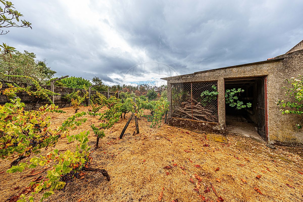 Moradia T4 à venda em Cortiçô e Vila Chã, Fornos de Algodres — foto 29