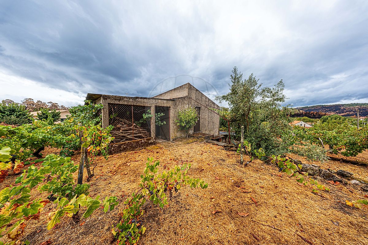 Moradia T4 à venda em Cortiçô e Vila Chã, Fornos de Algodres — foto 30