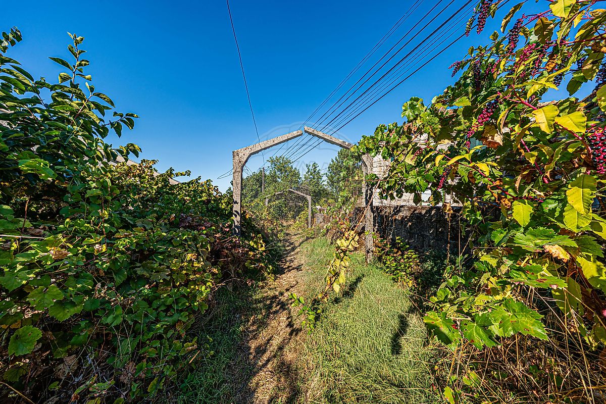 Moradia T3 à venda em Algodres, Fornos de Algodres — foto 30