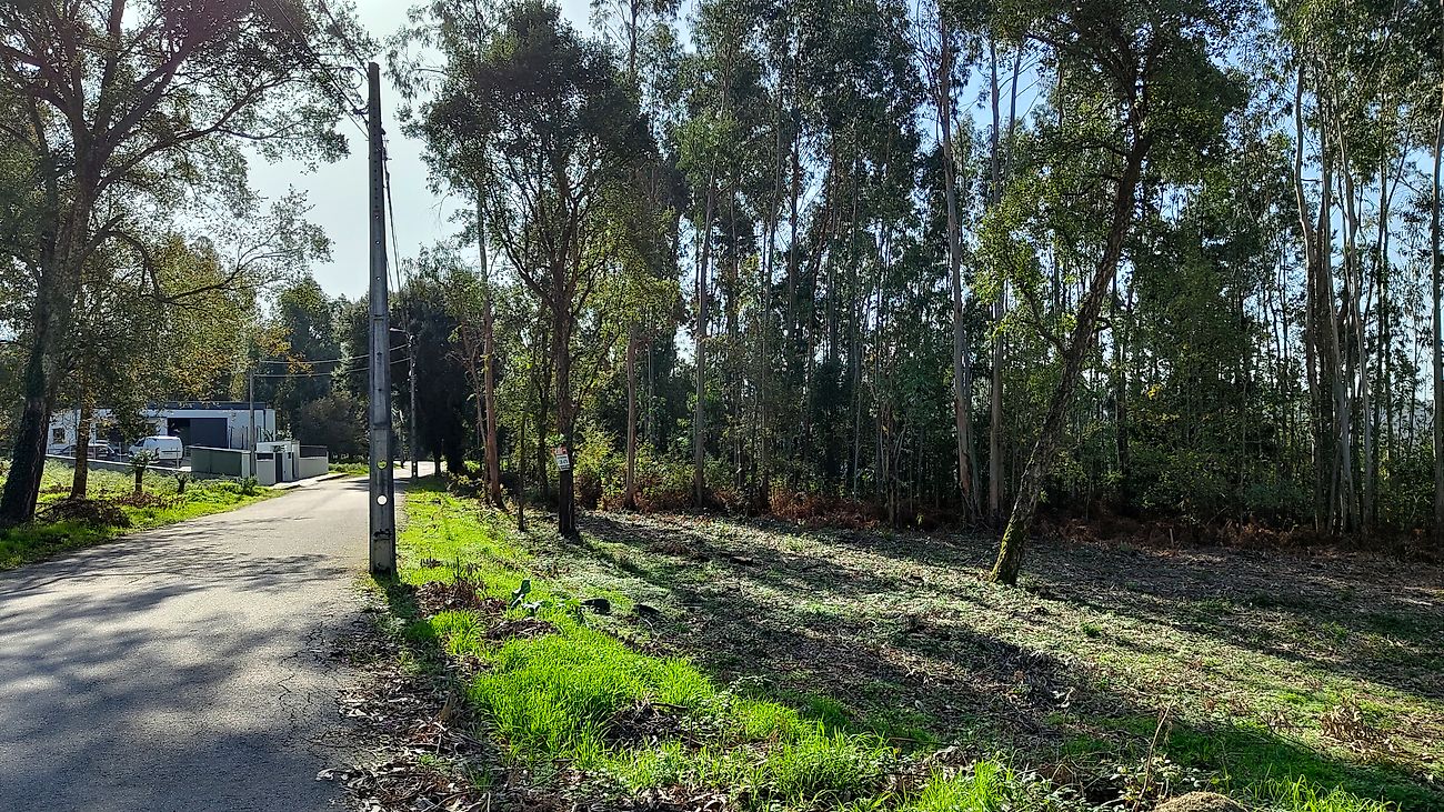 Land for sale in Vale de Cambra, Portugal — €139,000