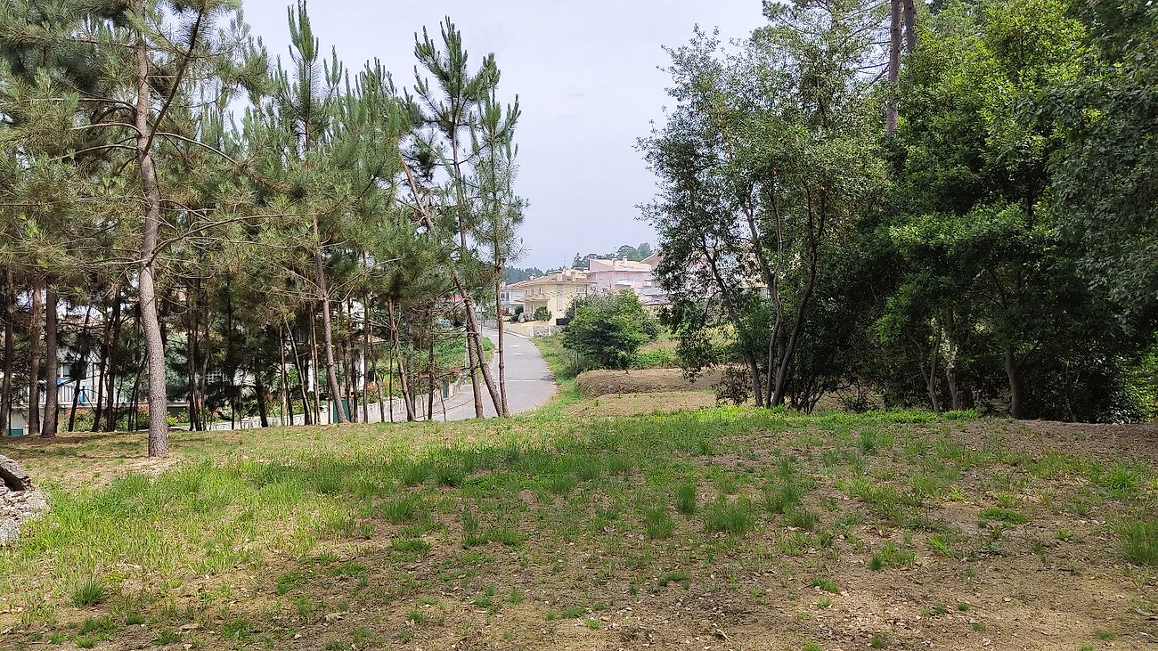 Terreno em Oliveira de Azeméis