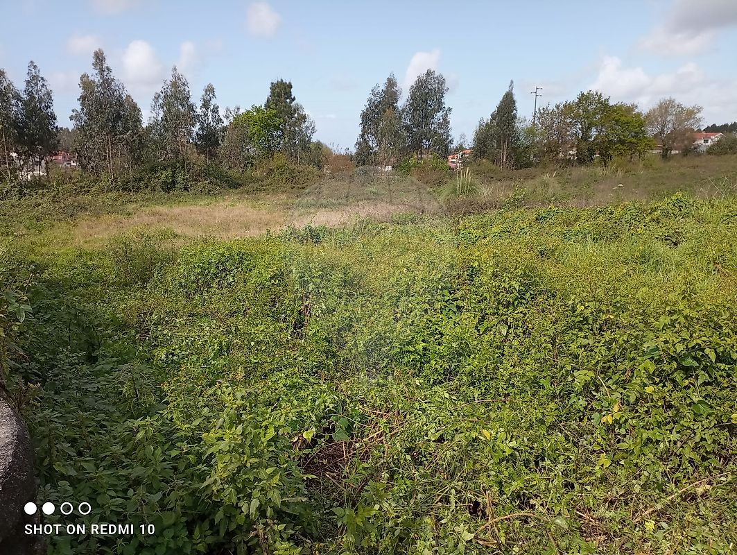 Land for sale in Albergaria-a-Velha, Portugal — €300,000