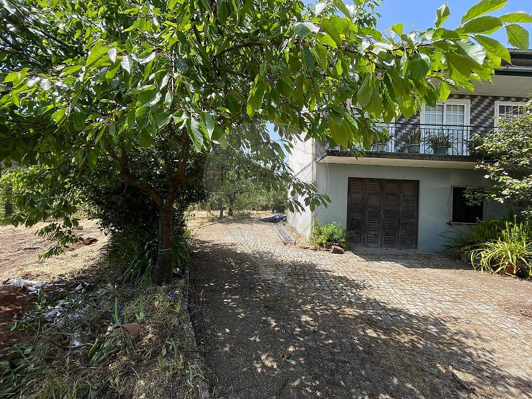 listing 122041021-1197 picture-0