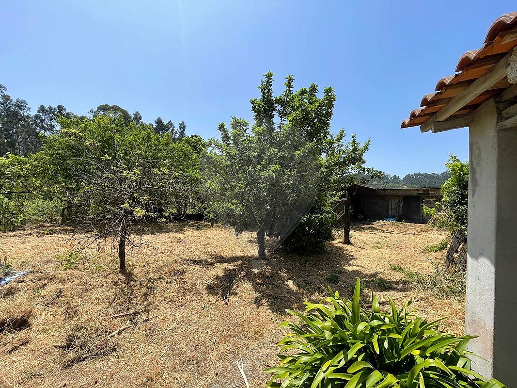 listing 122041021-1197 picture-0