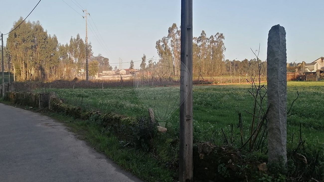 TODO