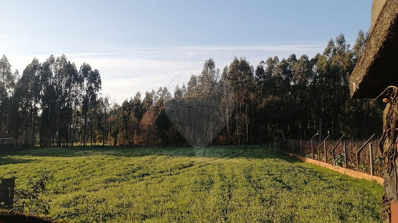 Terreno  para venda